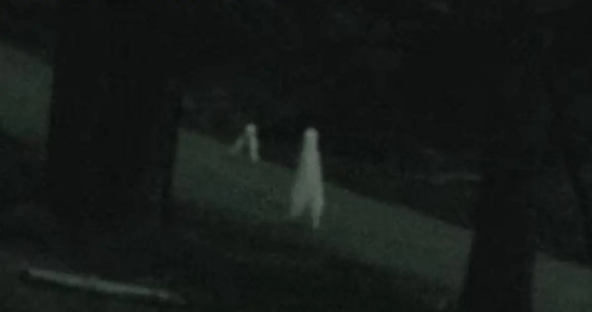Fresno Nightcrawlers Cute Ghost Roaming California or Creepy Aliens?