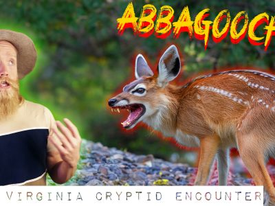 Abbagoochie