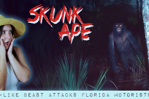 Permalink to:Skunk Ape: Swamp Beast STALKS Florida Family, Caught on Camera