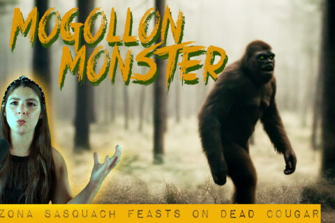 Permalink to:Mogollon Monster: Arizona’s Wild Man of the Rocks Hunt Continues